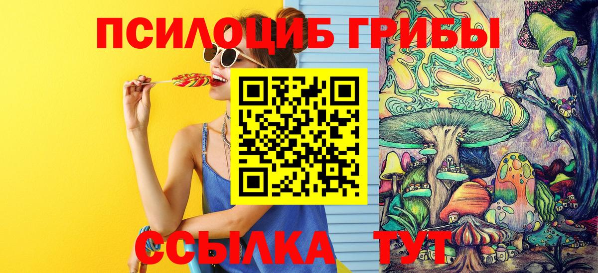 где продают   Псилоцибиновые грибы Magic Shrooms  Вход с VPN  Элиста  Псилоцибиновые грибы Psilocybine cubensis 